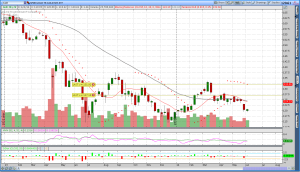 Gold Options Trend Following