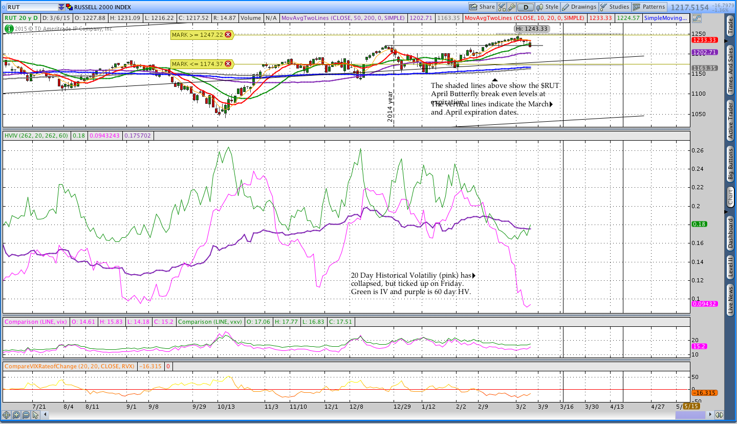 RUT Historical Implied Volatility